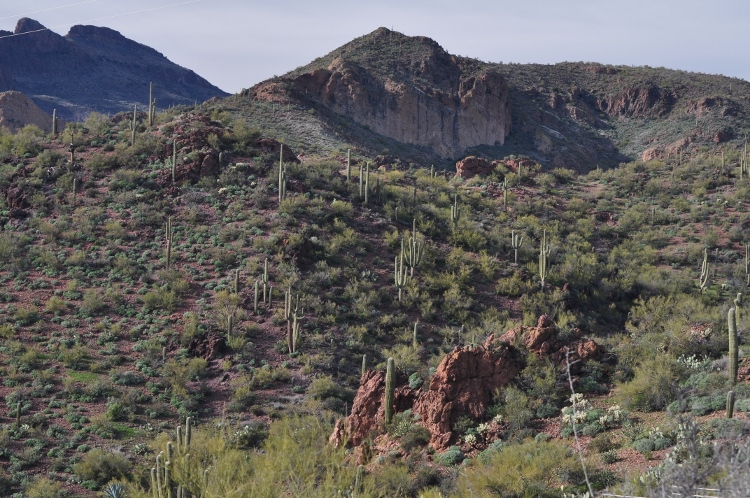 mountain terrain